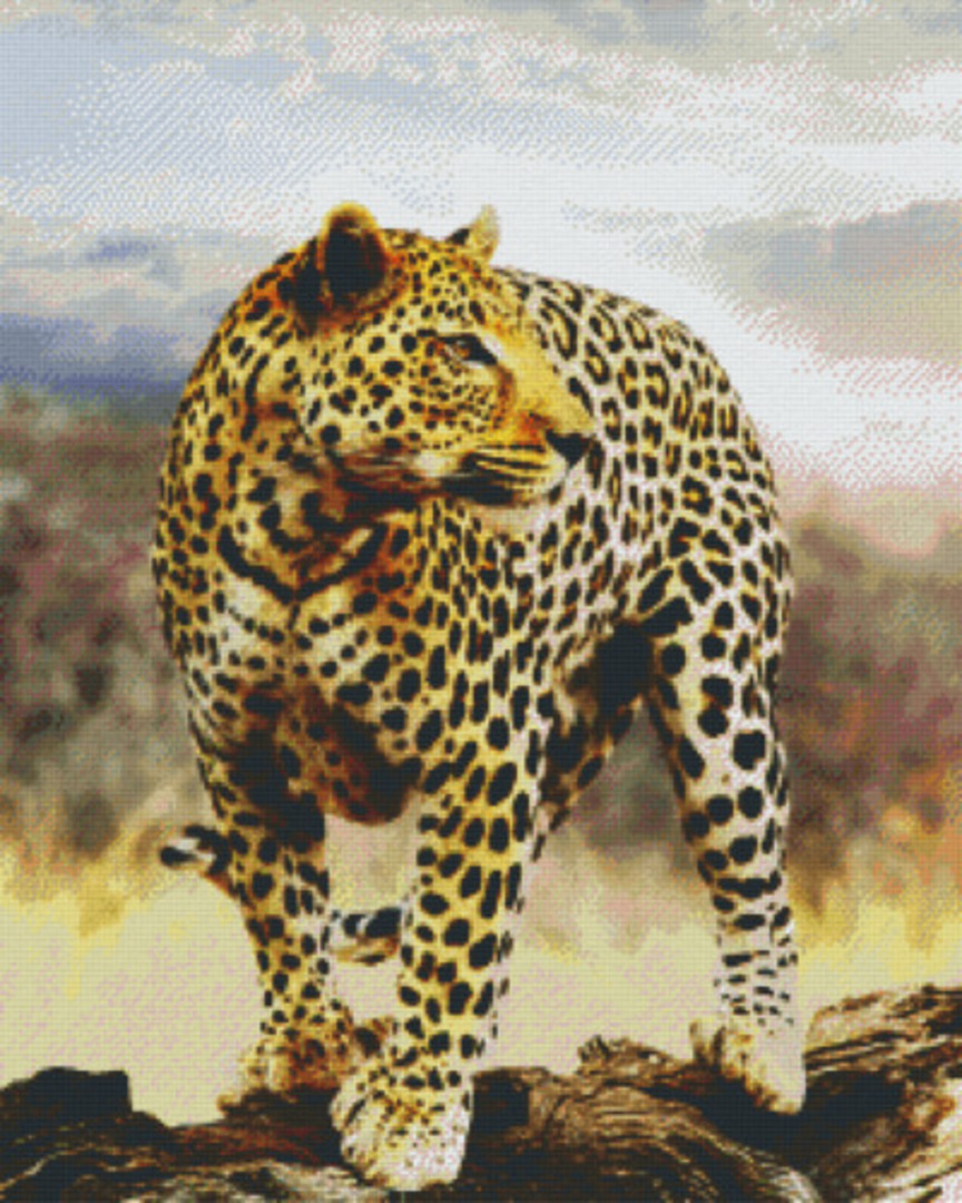 Leopard Thirty Six [36] Baseplate PixelHobby Mini-mosaic Art Kit image 0